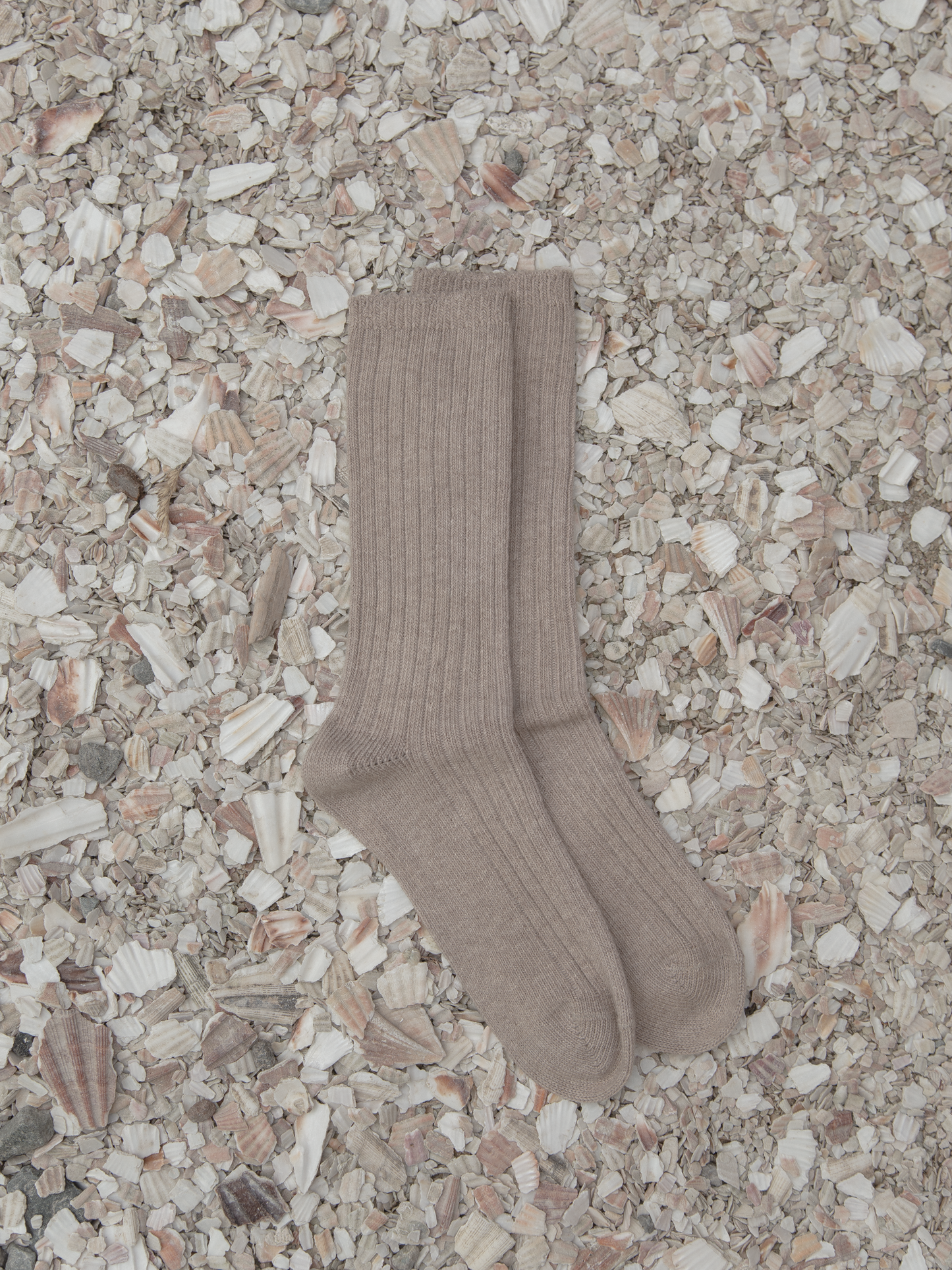 Allen Oat