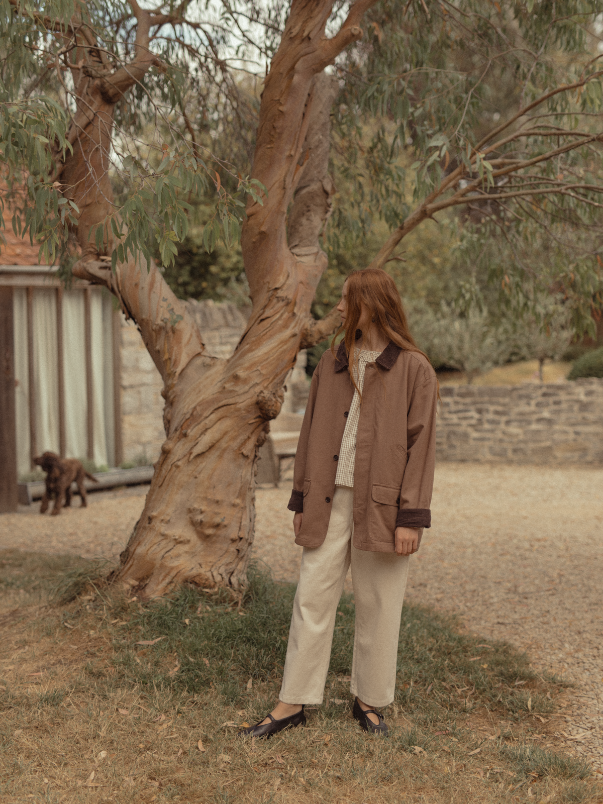Grant Jacket Chestnut