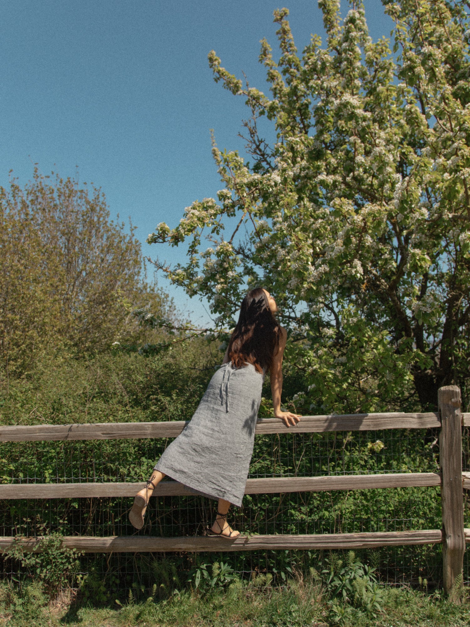 Bella Dress in Gingham Noir