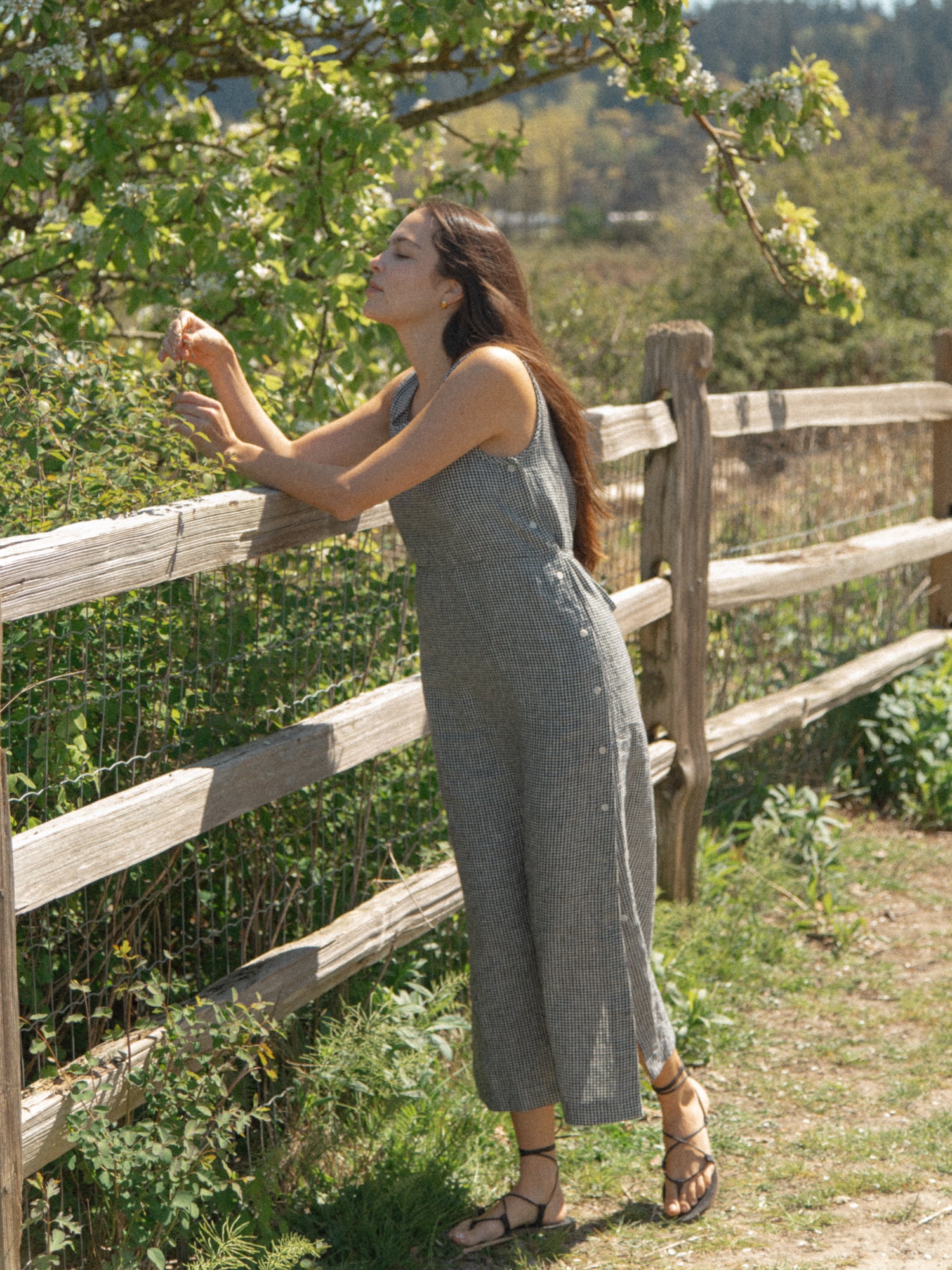 Bella Dress in Gingham Noir