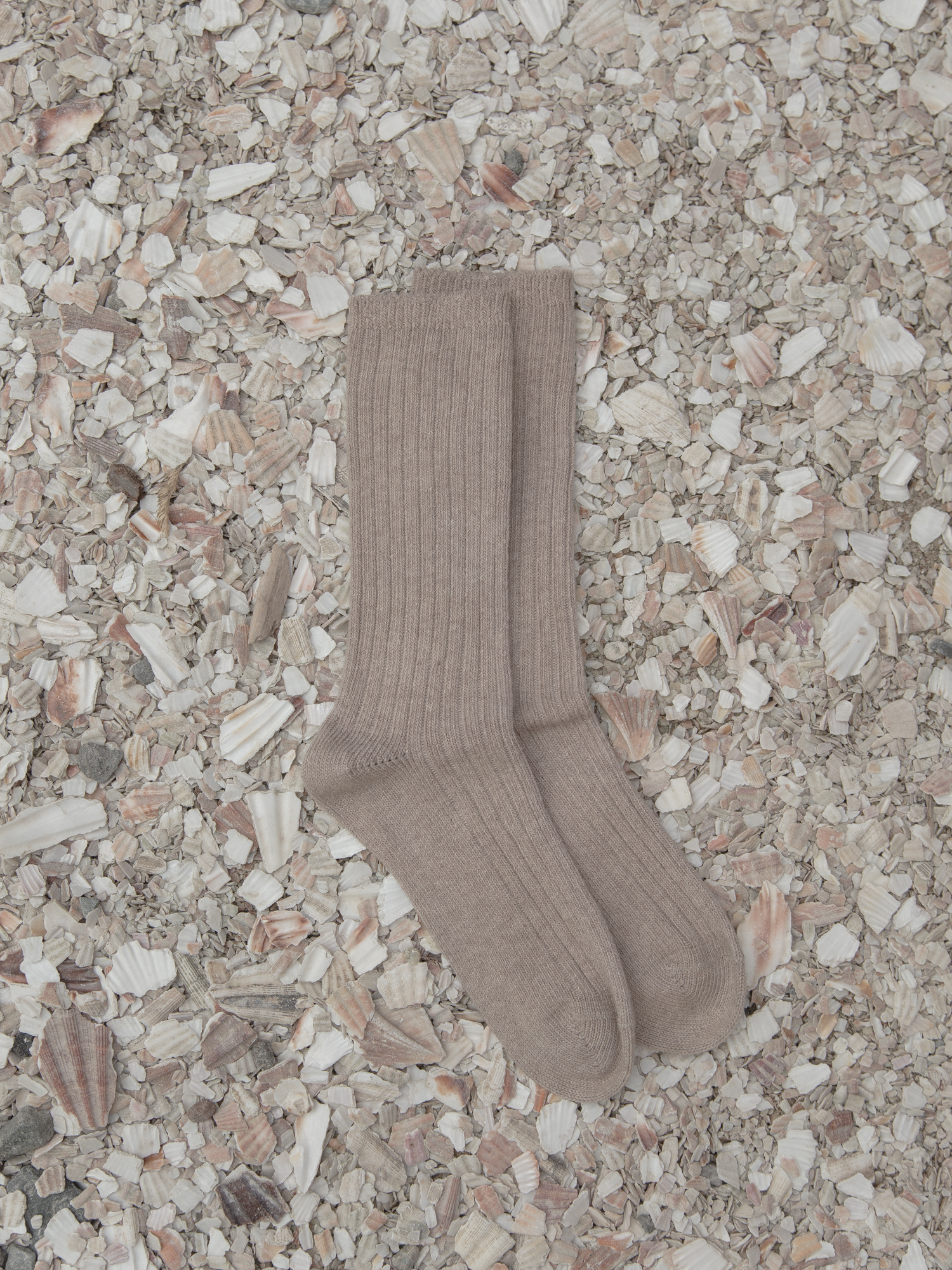 Allen Oat