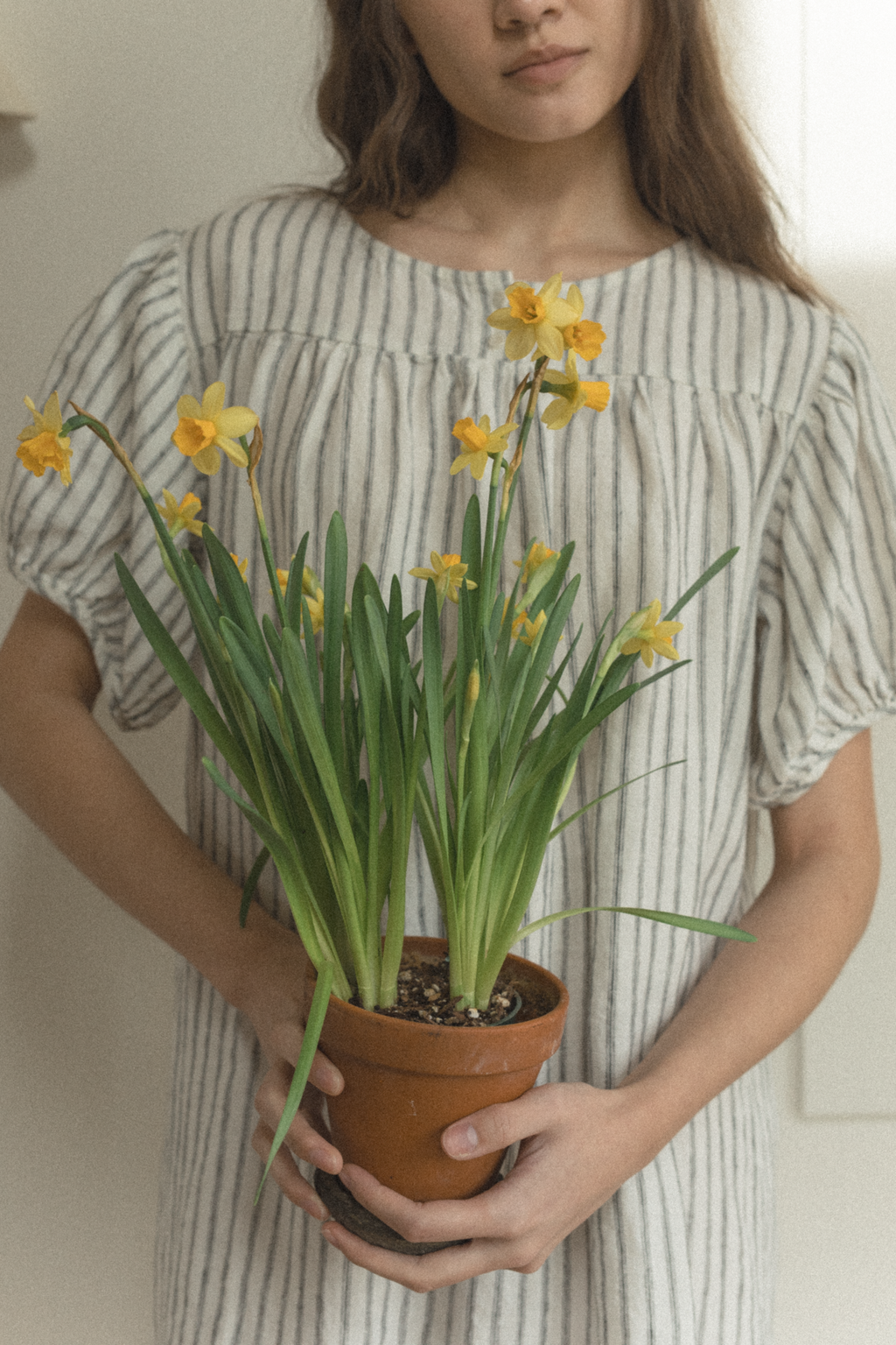 Cosette Dress Vintage Stripe