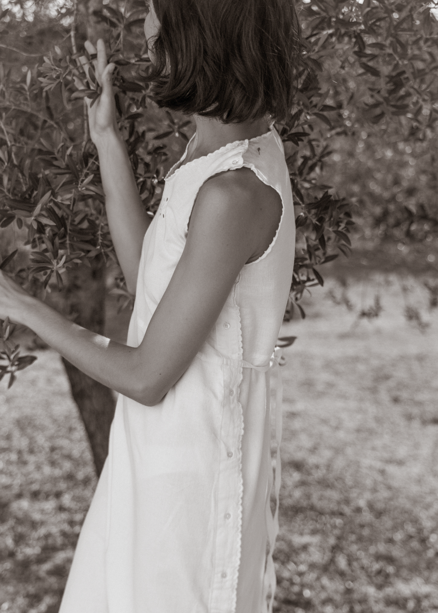 Lucienne Dress