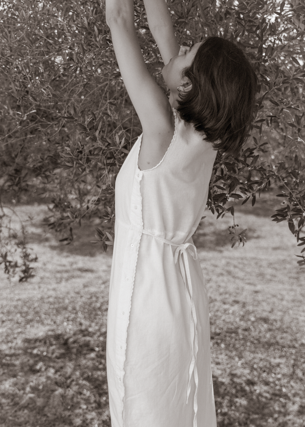Lucienne Dress