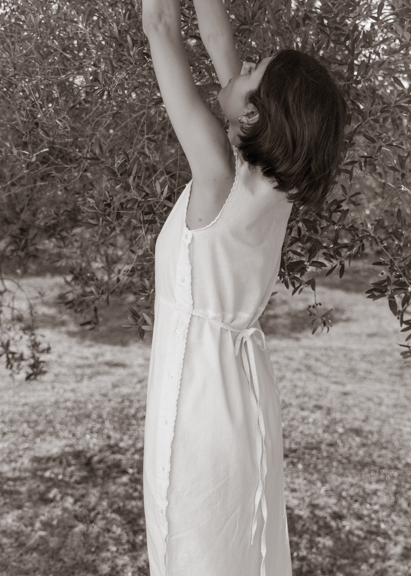 Lucienne Dress